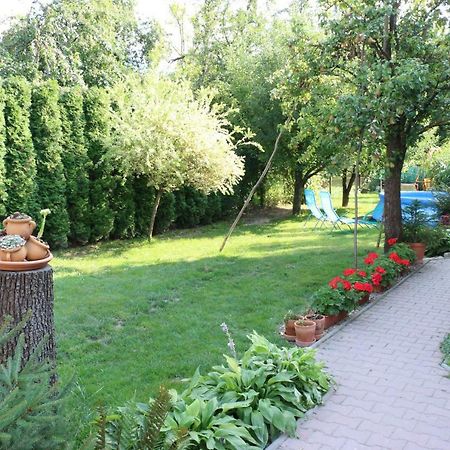 شقة Privat Cerenica Belusa المظهر الخارجي الصورة